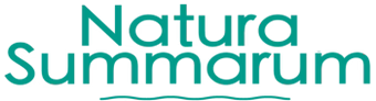 How Natura Summarum Increased Shopify Sales by 8% with a Flyweight AI Chatbot
